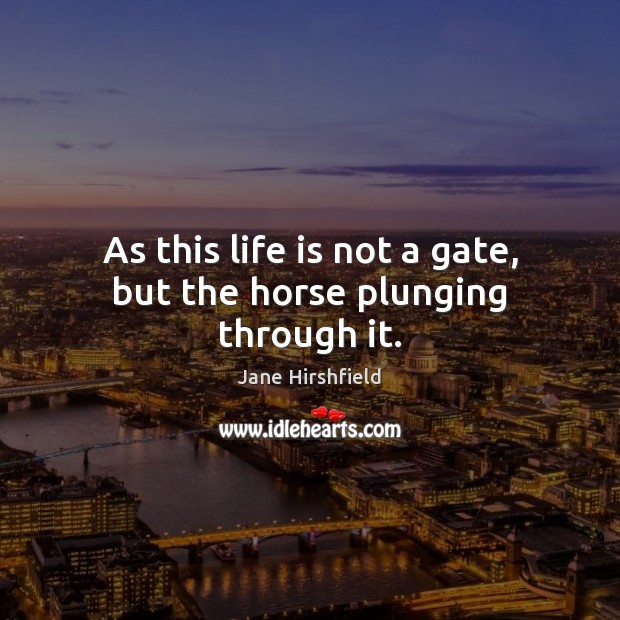 As this life is not a gate, but the horse plunging through it. Jane Hirshfield Picture Quote