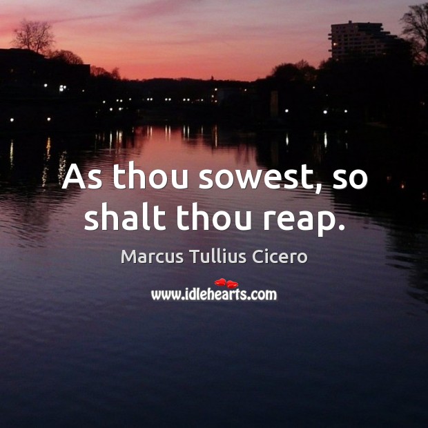 As thou sowest, so shalt thou reap. Marcus Tullius Cicero Picture Quote
