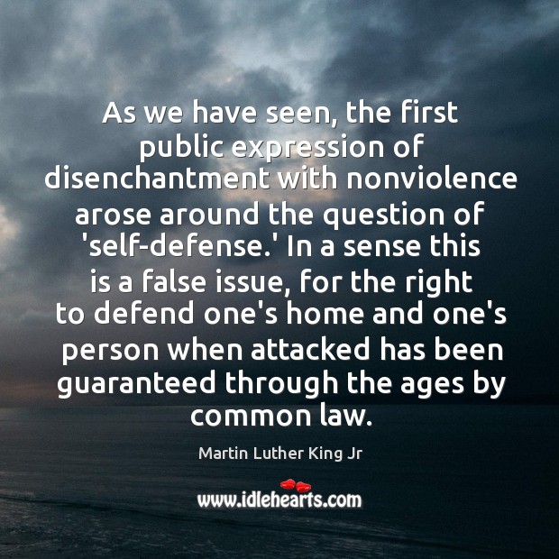 As we have seen, the first public expression of disenchantment with nonviolence 