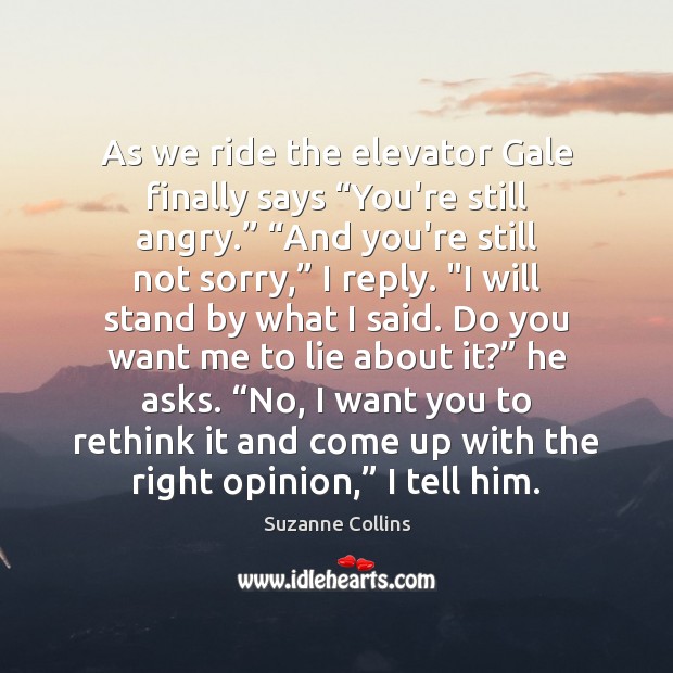 As we ride the elevator Gale finally says “You’re still angry.” “And Suzanne Collins Picture Quote