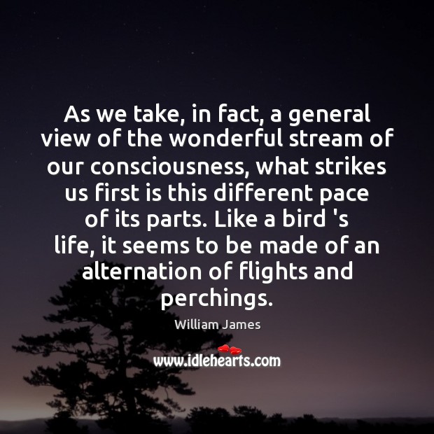 As we take, in fact, a general view of the wonderful stream William James Picture Quote