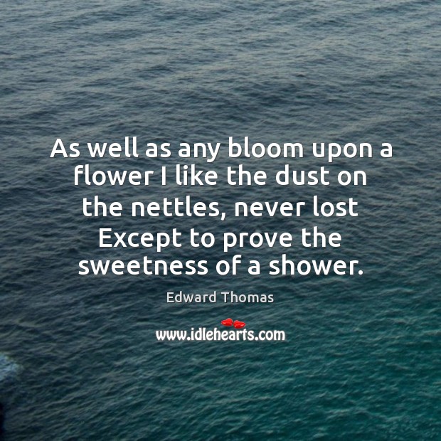 As well as any bloom upon a flower I like the dust Edward Thomas Picture Quote