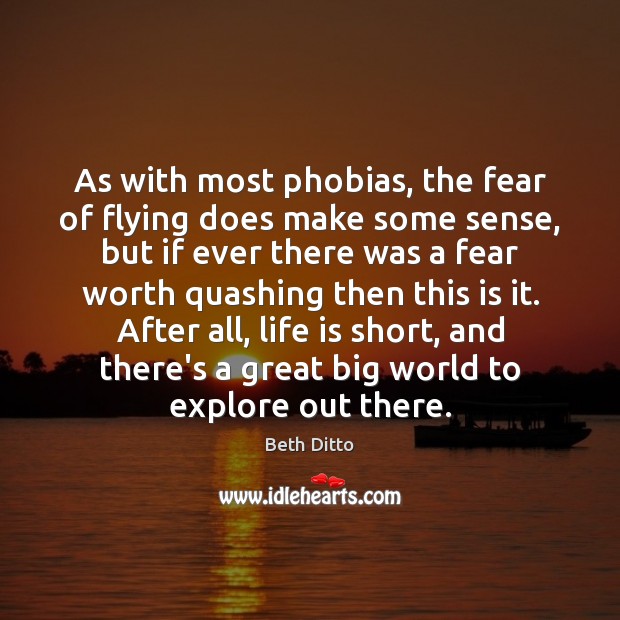 As with most phobias, the fear of flying does make some sense, Beth Ditto Picture Quote