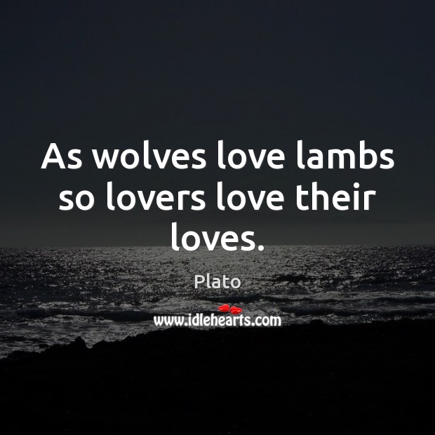 As wolves love lambs so lovers love their loves. Plato Picture Quote