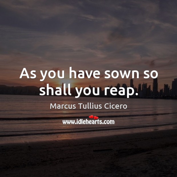 As you have sown so shall you reap. Marcus Tullius Cicero Picture Quote