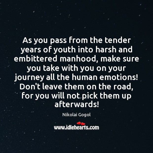 As you pass from the tender years of youth into harsh and Nikolai Gogol Picture Quote