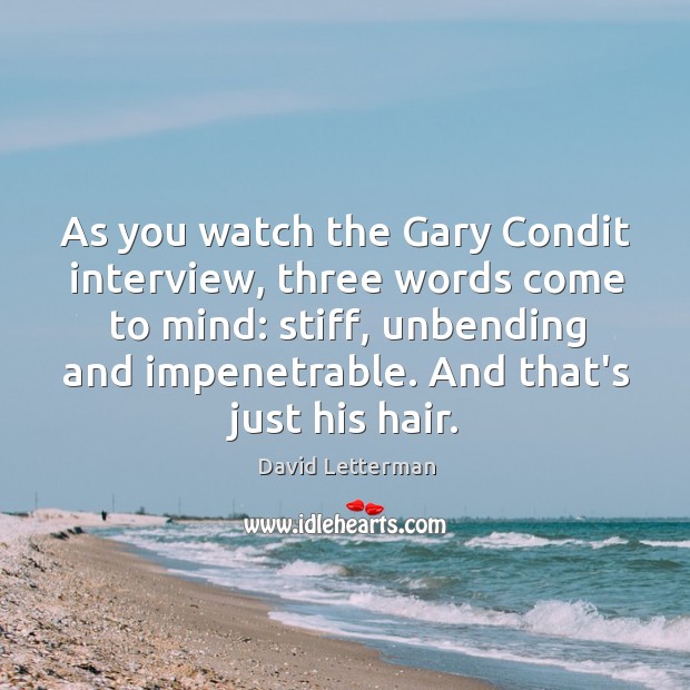 As you watch the Gary Condit interview, three words come to mind: Image