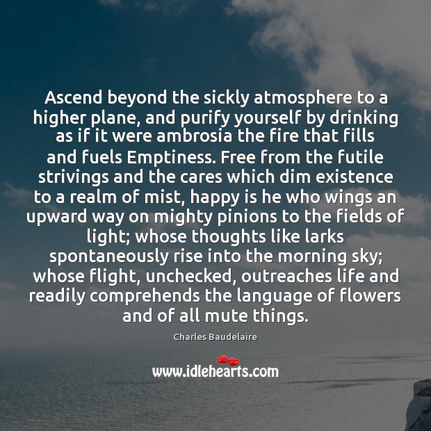 Ascend beyond the sickly atmosphere to a higher plane, and purify yourself Image