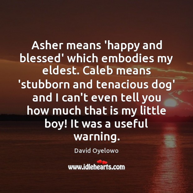 Asher means ‘happy and blessed’ which embodies my eldest. Caleb means ‘stubborn David Oyelowo Picture Quote