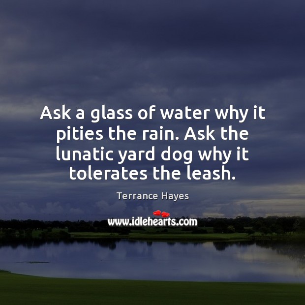 Ask a glass of water why it pities the rain. Ask the Image