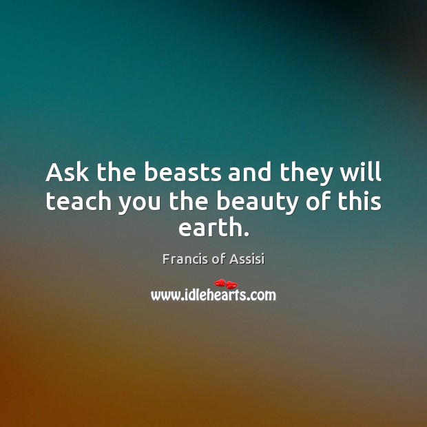 Ask the beasts and they will teach you the beauty of this earth. Francis of Assisi Picture Quote