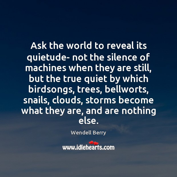 Ask the world to reveal its quietude- not the silence of machines Wendell Berry Picture Quote