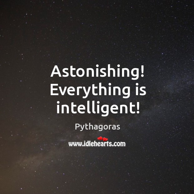 Astonishing! Everything is intelligent! Pythagoras Picture Quote