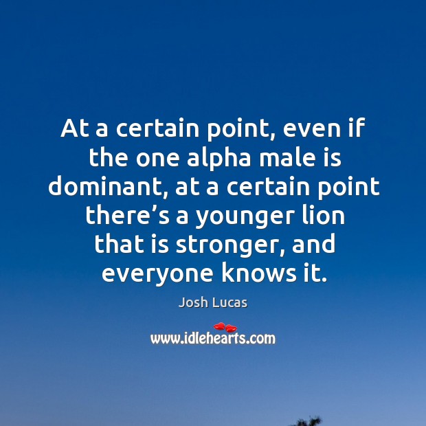 At a certain point, even if the one alpha male is dominant, at a certain point there’s Image