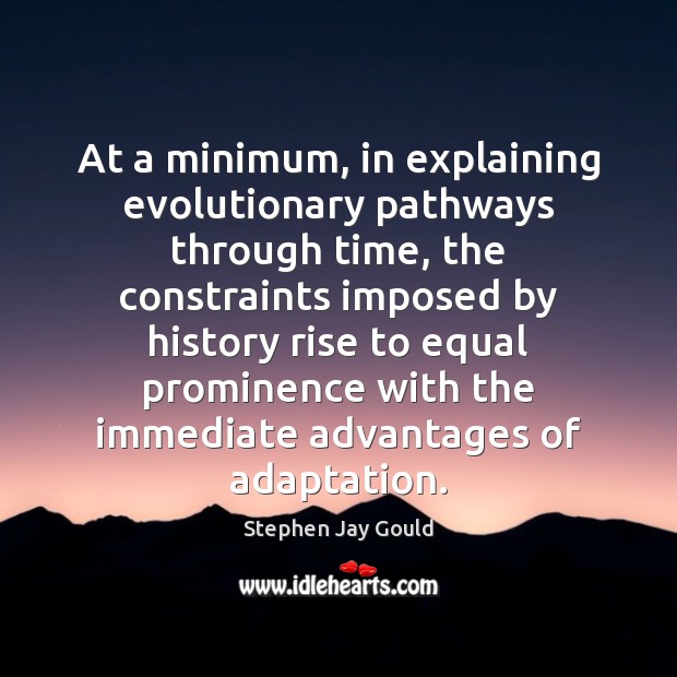 At a minimum, in explaining evolutionary pathways through time, the constraints imposed Stephen Jay Gould Picture Quote