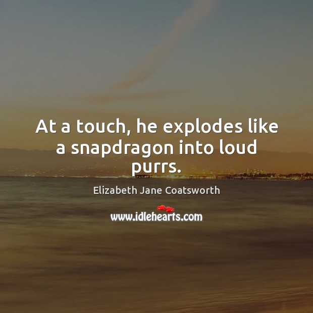 At a touch, he explodes like a snapdragon into loud purrs. Elizabeth Jane Coatsworth Picture Quote
