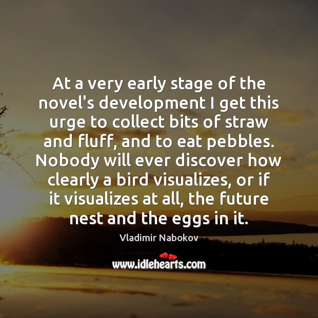 At a very early stage of the novel’s development I get this Vladimir Nabokov Picture Quote