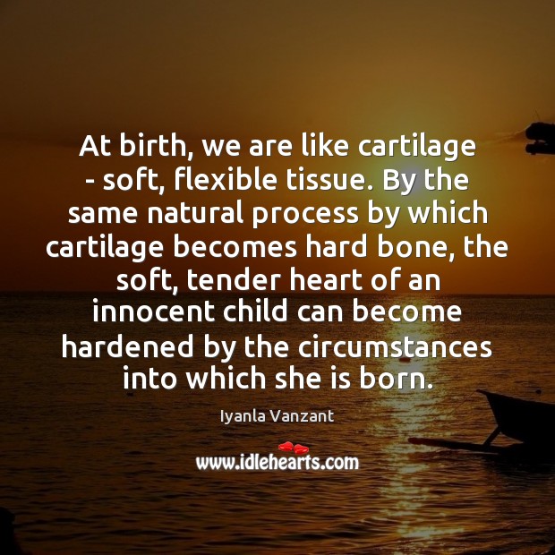 At birth, we are like cartilage – soft, flexible tissue. By the Iyanla Vanzant Picture Quote