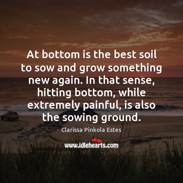 At bottom is the best soil to sow and grow something new Clarissa Pinkola Estes Picture Quote