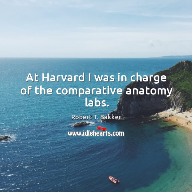 At harvard I was in charge of the comparative anatomy labs. Robert T. Bakker Picture Quote