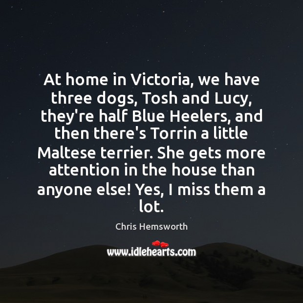 At home in Victoria, we have three dogs, Tosh and Lucy, they’re Chris Hemsworth Picture Quote