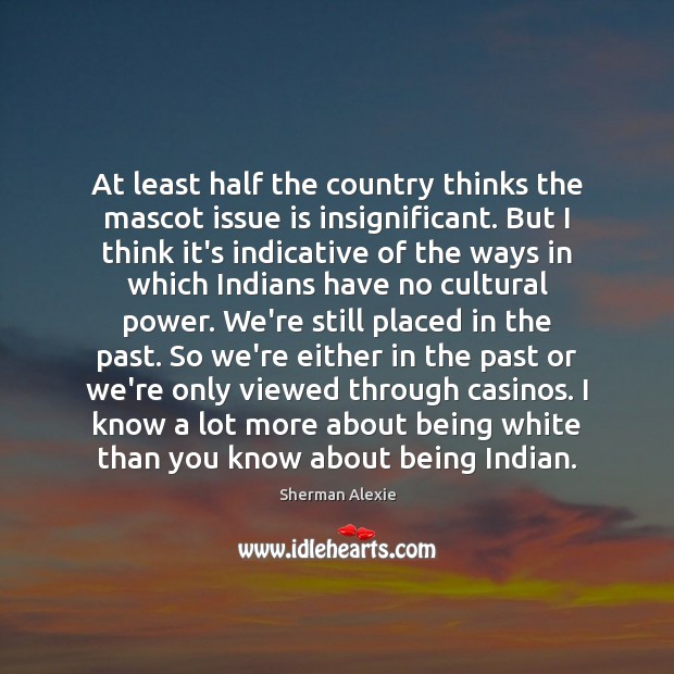 At least half the country thinks the mascot issue is insignificant. But Sherman Alexie Picture Quote