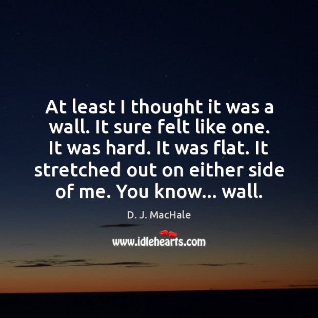 At least I thought it was a wall. It sure felt like D. J. MacHale Picture Quote