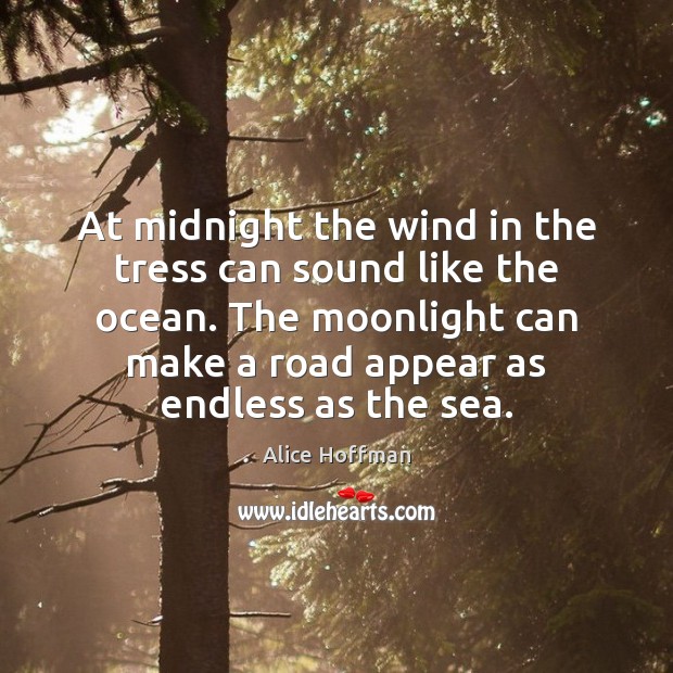 At midnight the wind in the tress can sound like the ocean. Alice Hoffman Picture Quote