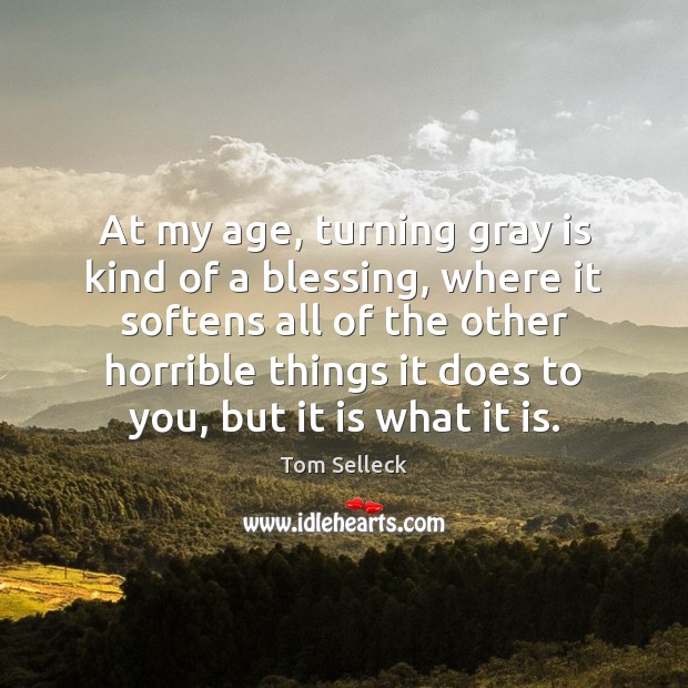 At my age, turning gray is kind of a blessing, where it Tom Selleck Picture Quote