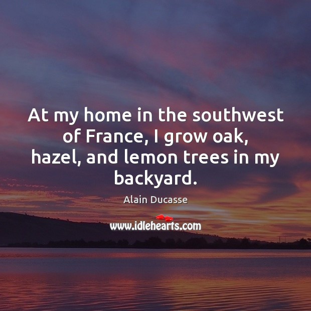 At my home in the southwest of France, I grow oak, hazel, and lemon trees in my backyard. Alain Ducasse Picture Quote