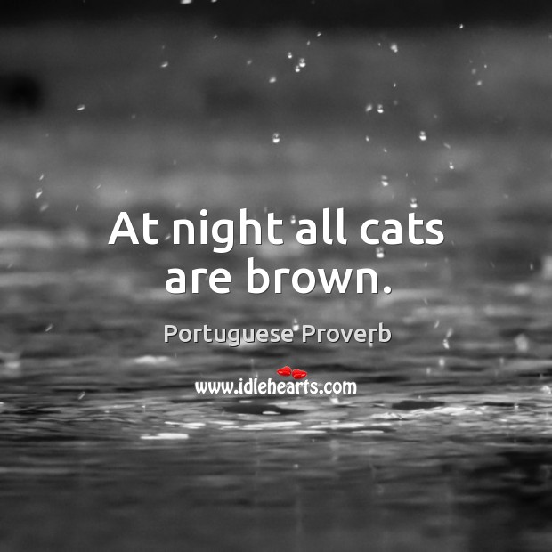 At night all cats are brown. Portuguese Proverbs Image
