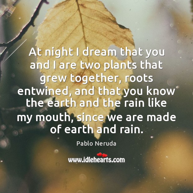 At night I dream that you and I are two plants that Pablo Neruda Picture Quote