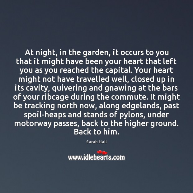 At night, in the garden, it occurs to you that it might Sarah Hall Picture Quote