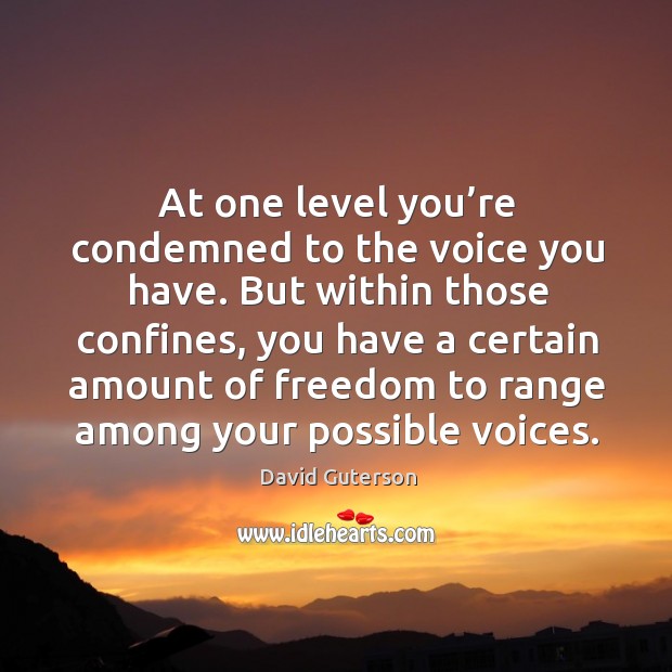 At one level you’re condemned to the voice you have. David Guterson Picture Quote