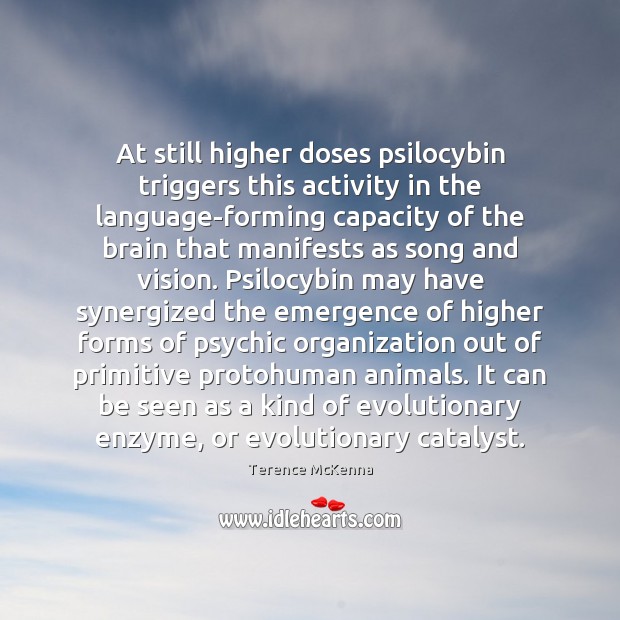At still higher doses psilocybin triggers this activity in the language-forming capacity Terence McKenna Picture Quote