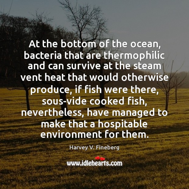 At the bottom of the ocean, bacteria that are thermophilic and can Harvey V. Fineberg Picture Quote