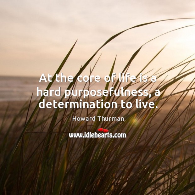 At the core of life is a hard purposefulness, a determination to live. Howard Thurman Picture Quote