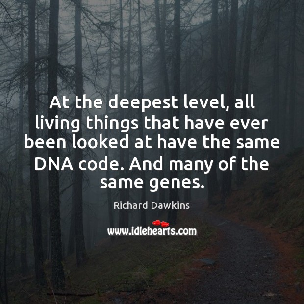 At the deepest level, all living things that have ever been looked Richard Dawkins Picture Quote