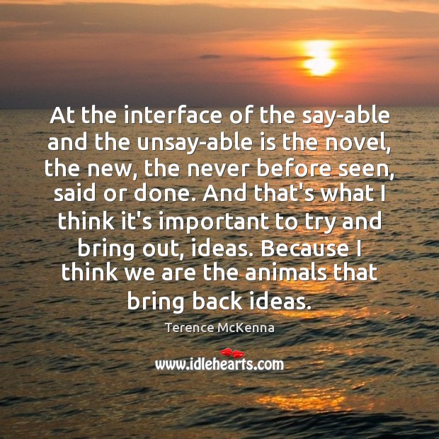At the interface of the say-able and the unsay-able is the novel, Image