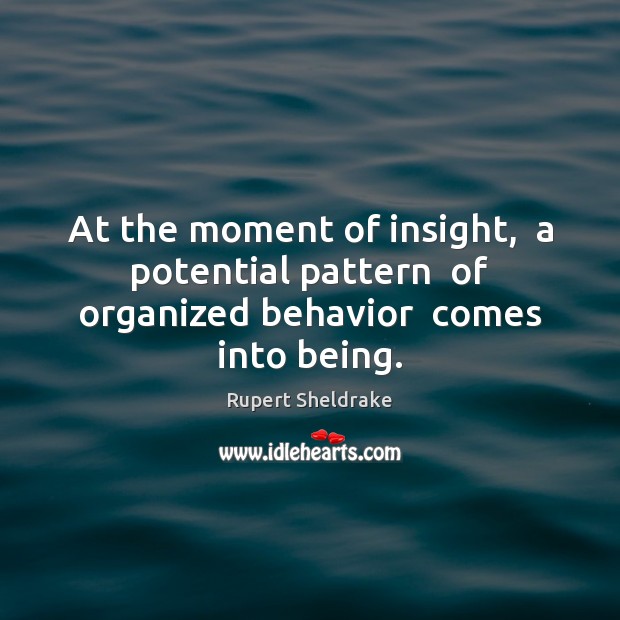 At the moment of insight,  a potential pattern  of organized behavior  comes into being. Rupert Sheldrake Picture Quote