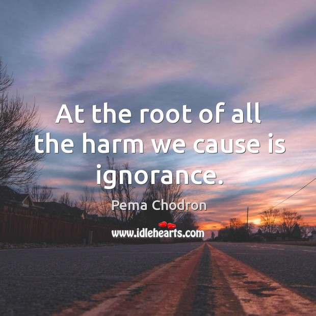 At the root of all the harm we cause is ignorance. Pema Chodron Picture Quote