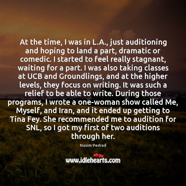 At the time, I was in L.A., just auditioning and hoping Nasim Pedrad Picture Quote