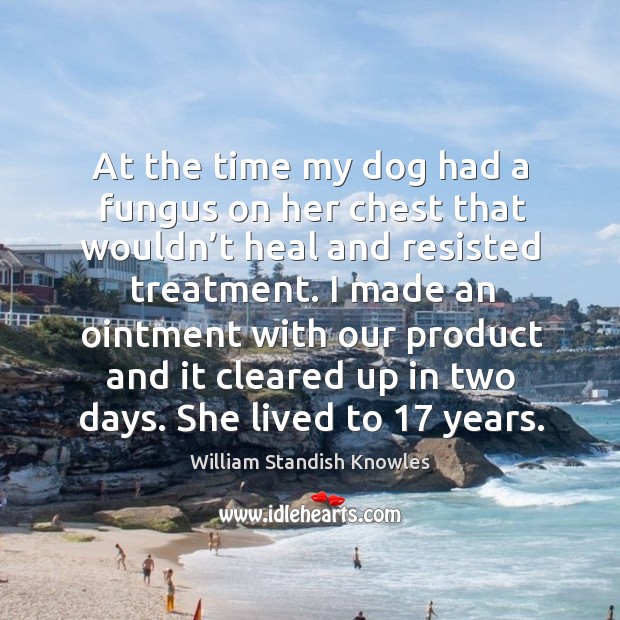 At the time my dog had a fungus on her chest that wouldn’t heal and resisted treatment. Heal Quotes Image
