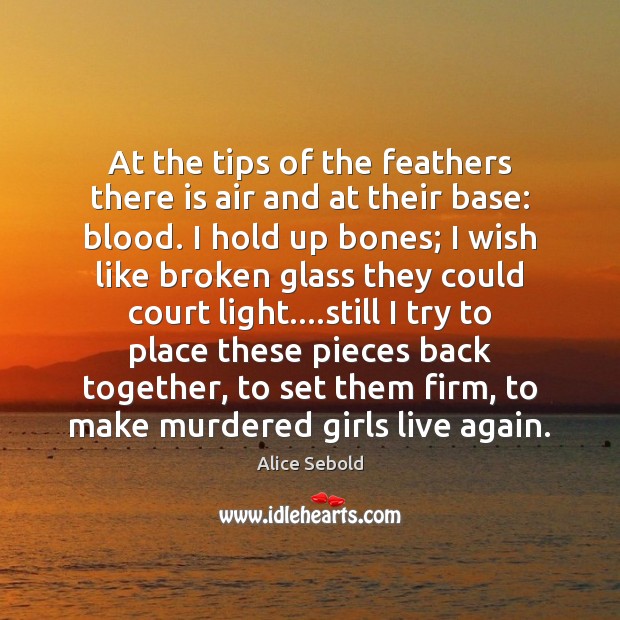 At the tips of the feathers there is air and at their Alice Sebold Picture Quote