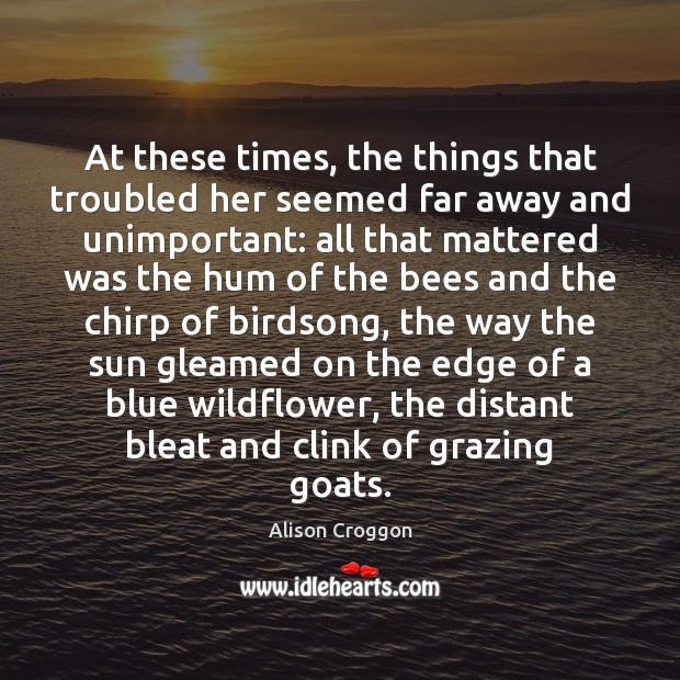 At these times, the things that troubled her seemed far away and Alison Croggon Picture Quote