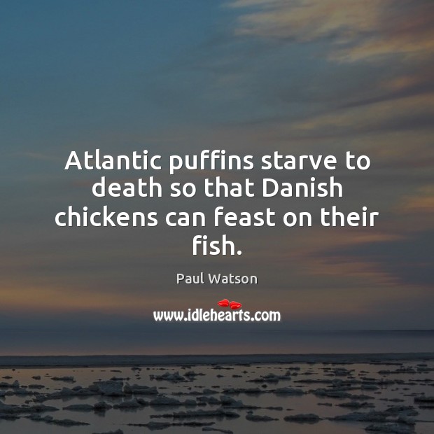 Atlantic puffins starve to death so that Danish chickens can feast on their fish. Paul Watson Picture Quote