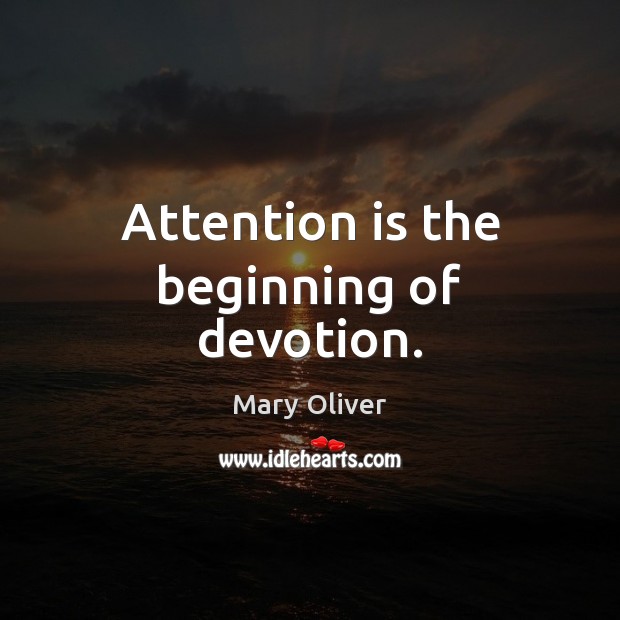 Attention is the beginning of devotion. Image