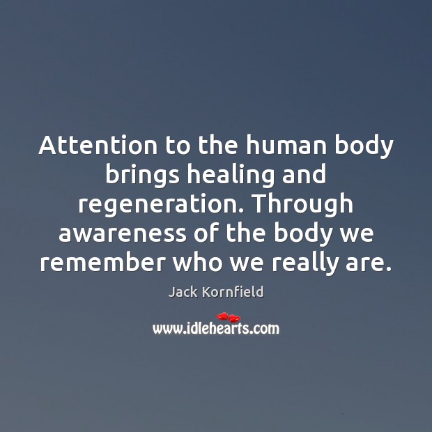 Attention to the human body brings healing and regeneration. Through awareness of Jack Kornfield Picture Quote