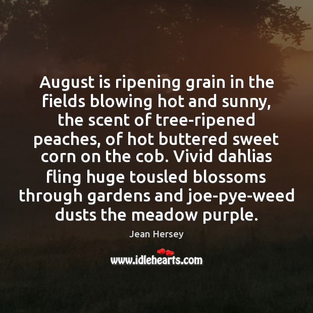 August is ripening grain in the fields blowing hot and sunny, the Jean Hersey Picture Quote