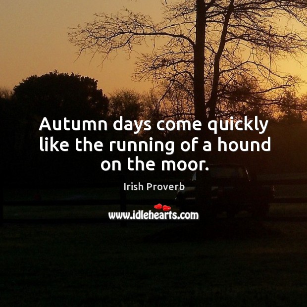 Autumn days come quickly like the running of a hound on the moor. Irish Proverbs Image